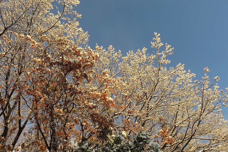 湯の山温泉から御在所岳･･_a0017634_22565294.jpg