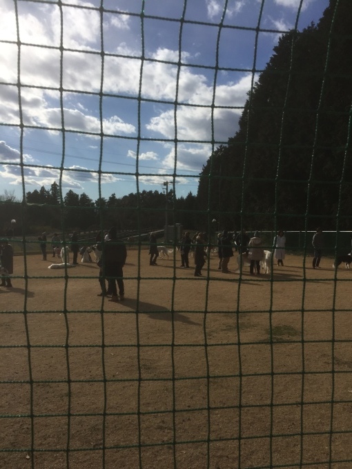 b0369239_10002655.jpeg