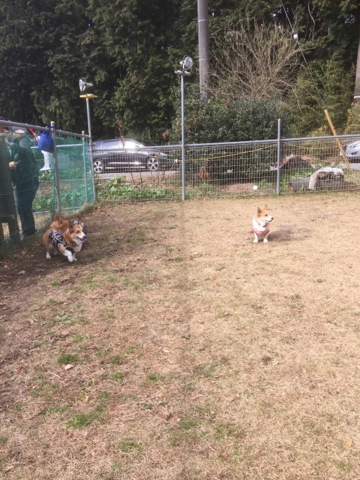 b0369239_10005747.jpeg