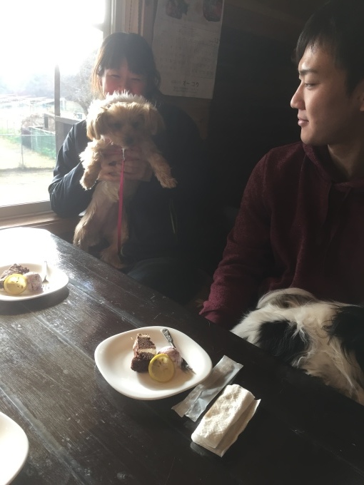 b0369239_10041786.jpeg