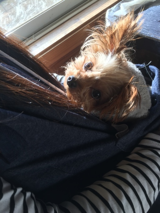 b0369239_10063498.jpeg
