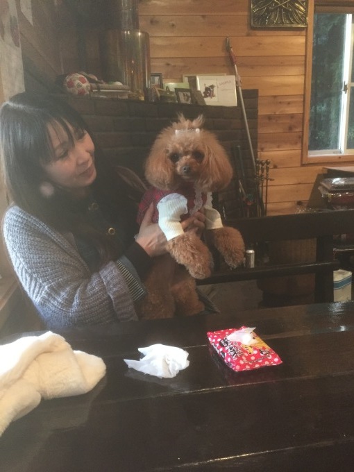 b0369239_10070601.jpeg