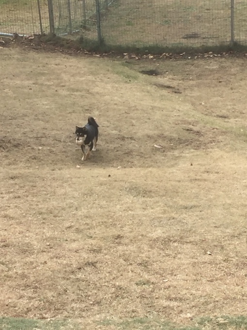 b0369239_10071939.jpeg