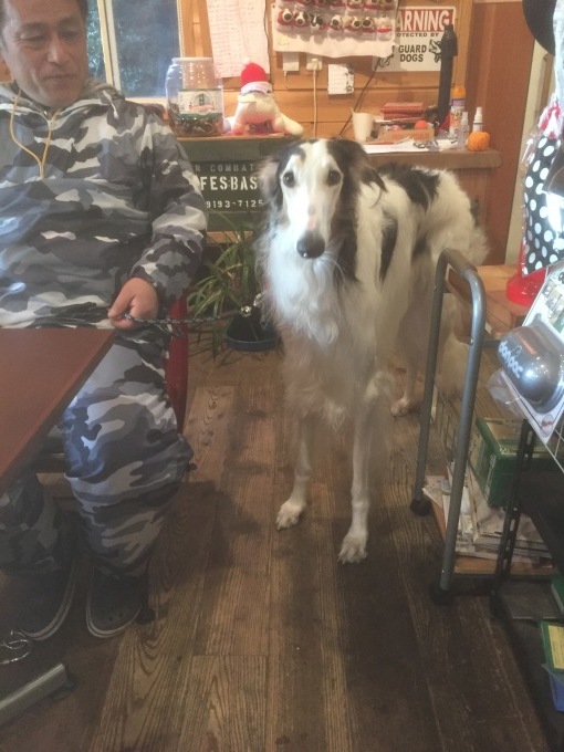 b0369239_10082994.jpeg