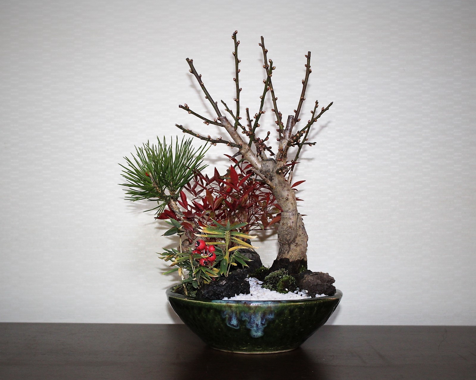 松竹梅の寄せ植え 雨宮園 盆栽 山野草 陶芸 趣味が仕事でも