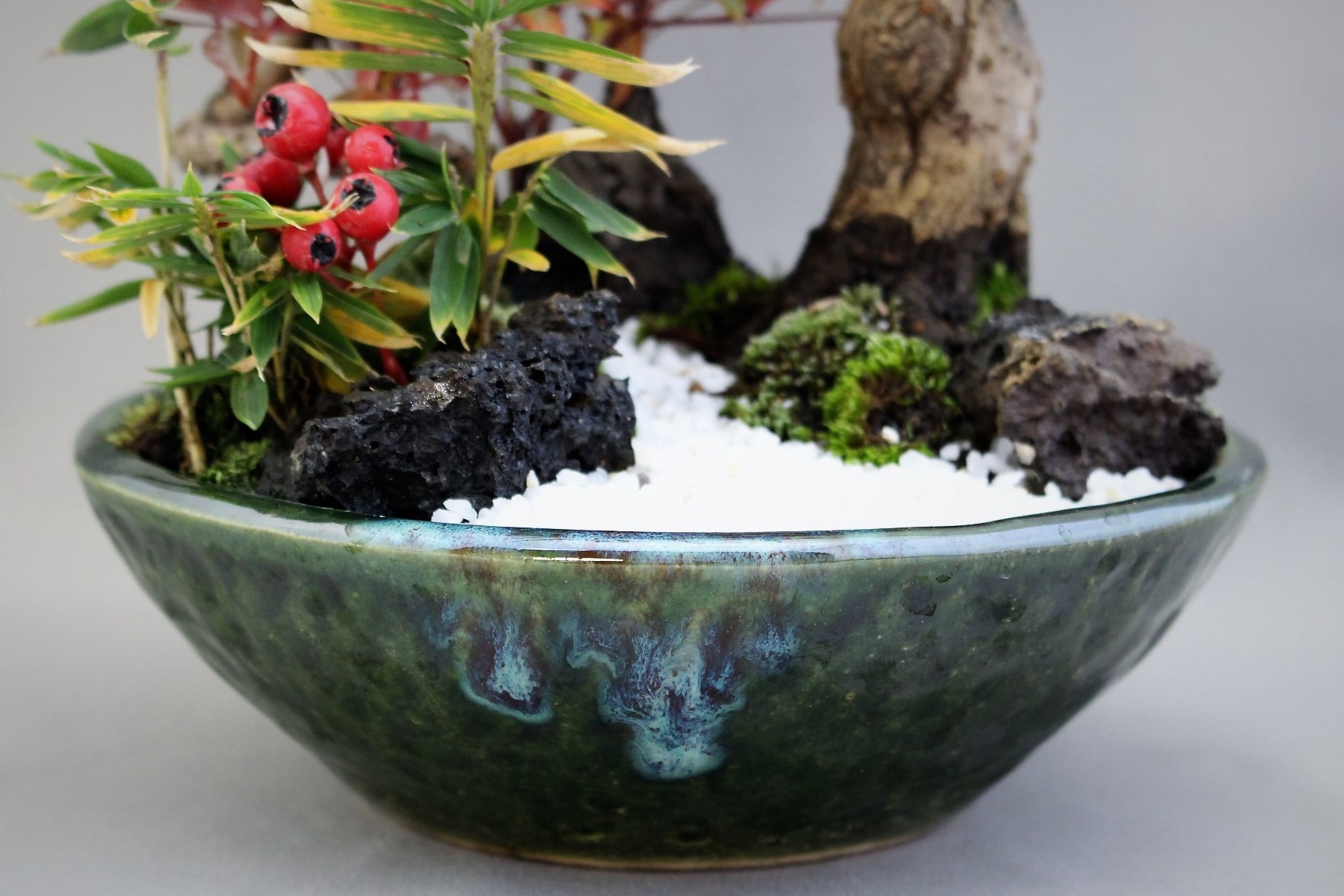 松竹梅の寄せ植え 雨宮園 盆栽 山野草 陶芸 趣味が仕事でも