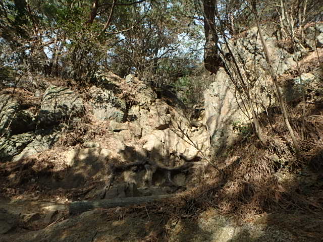 行者尾根　天狗道　摩耶山_f0334143_19482471.jpg