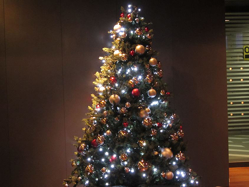 e0129656_23161659.jpg