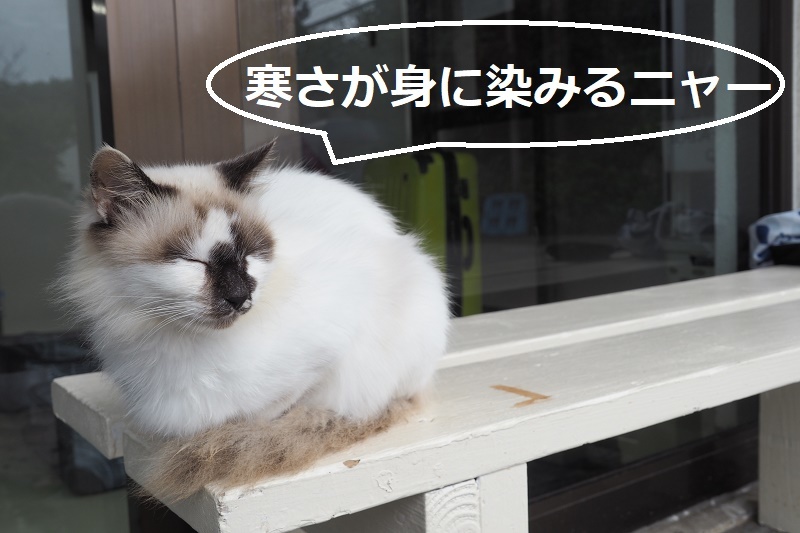 12月18日 今日は風が落ち着いてまいりました。…が。_d0113459_19075292.jpg