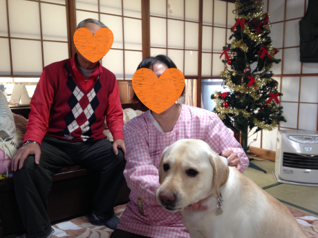 ふじくん改めガブリエルくん♪&近況報告_c0372561_02114409.png