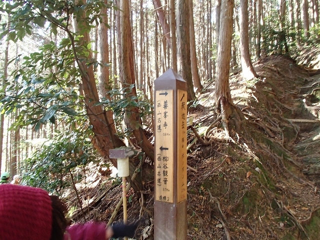 b0044663_13592111.jpg