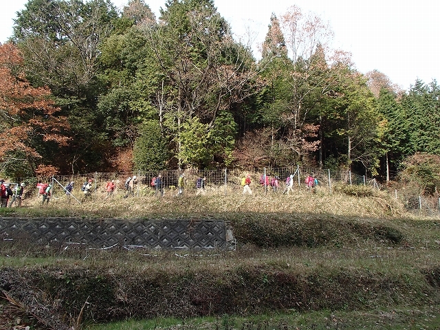 b0044663_14125129.jpg