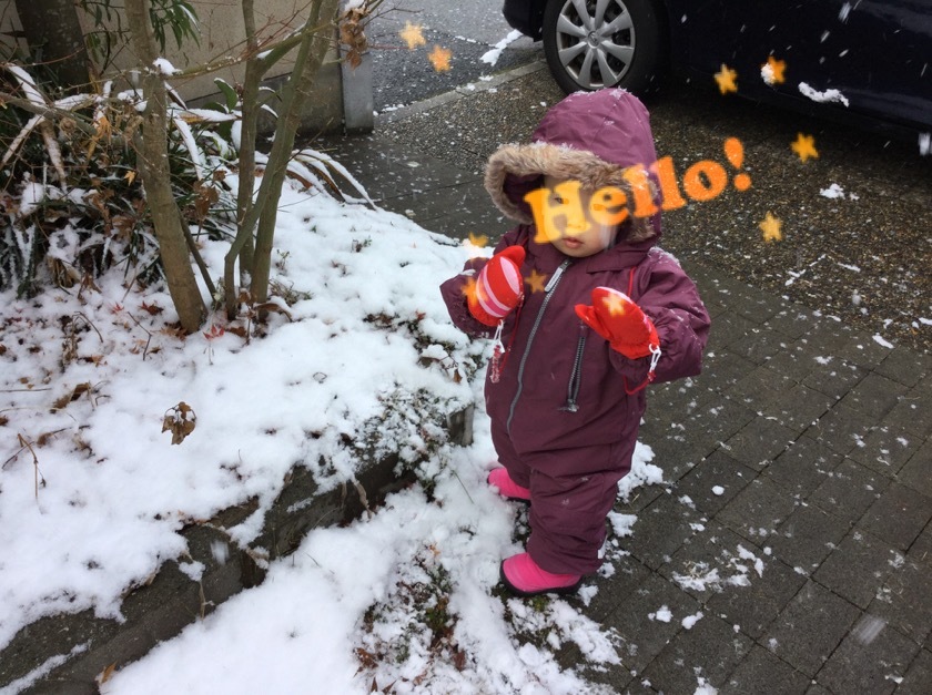 a0295764_16141340.jpeg