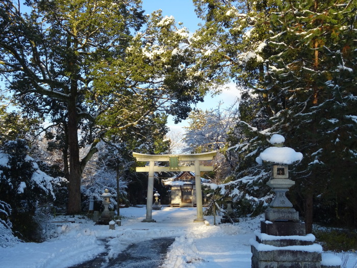 雪晴れ　知内川裾の朝        ２０１７．１２．１８_c0153880_23182977.jpg