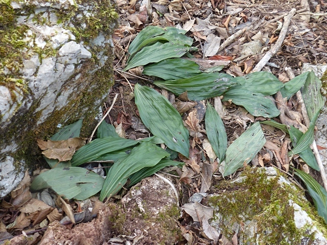 f0357487_00205350.jpg