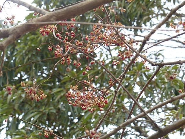 f0357487_00432038.jpg