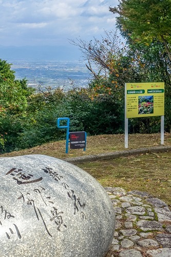 e0176993_07432063.jpg