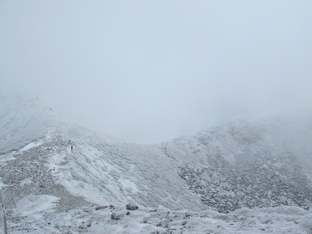 a0166196_1465181.jpg