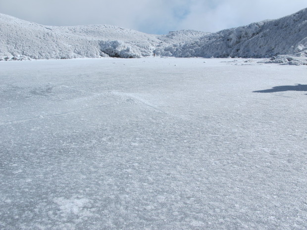 a0166196_1473416.jpg