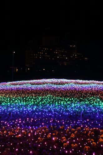c0090198_1925823.jpg