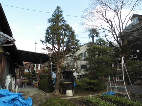 c0108198_1722525.jpg