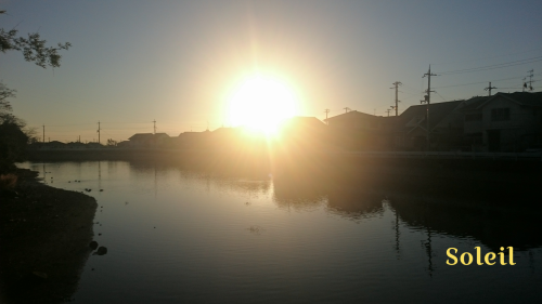 e0175702_20374354.png