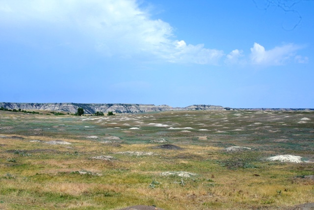 c0062603_21482892.jpg