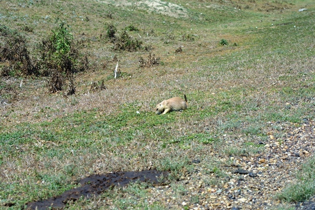 c0062603_21501245.jpg