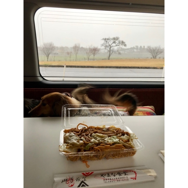 c0323003_16460053.jpeg