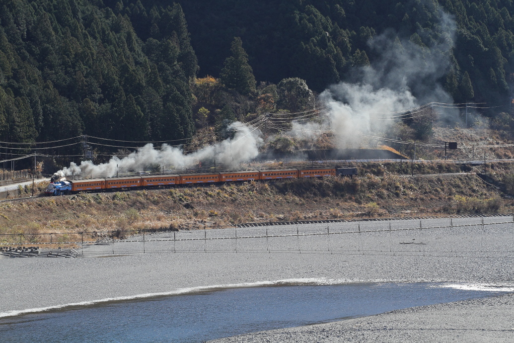 トーマスくんも煙もっくもく~ - 大井川・2017年クリスマス -_b0190710_23471099.jpg