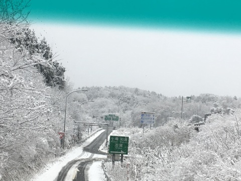 a0326912_11111036.jpg