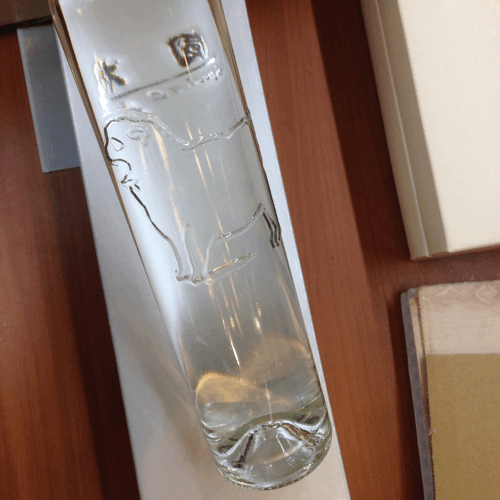 a0046113_19064601.gif