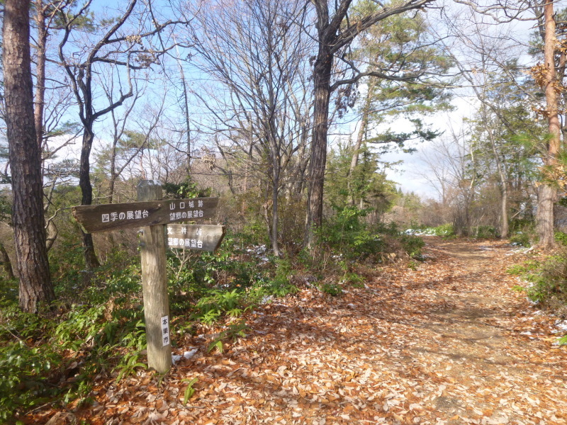 文殊の森公園散策　山口城跡まで登る_d0170615_18345380.jpg