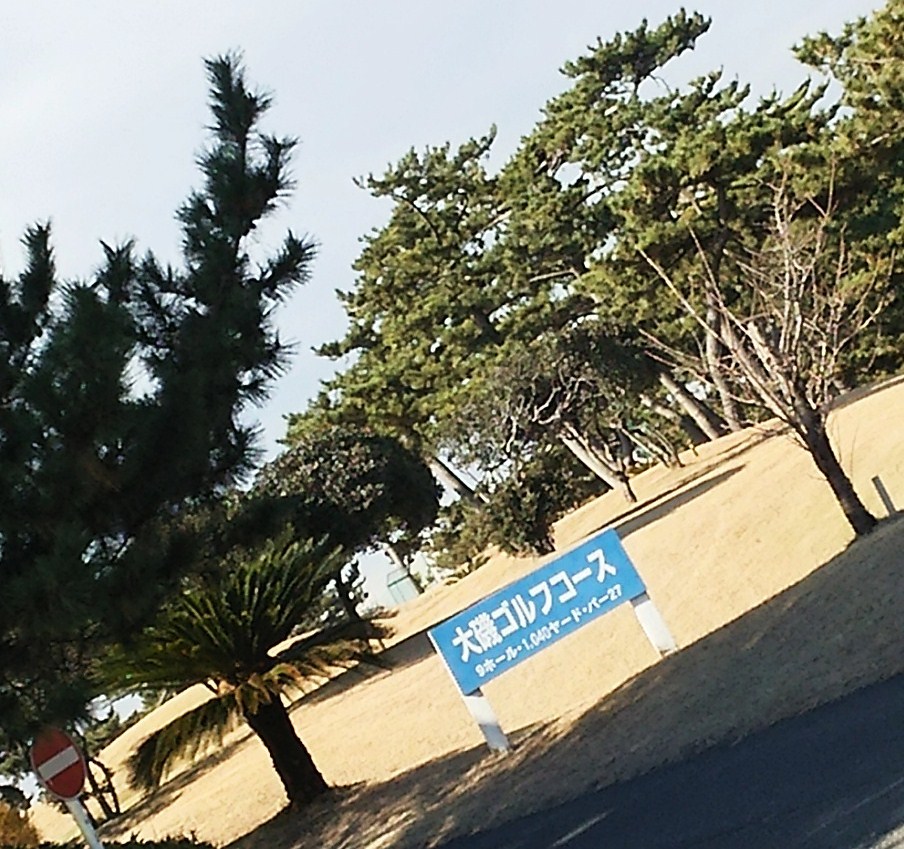 b0358719_13250334.jpg