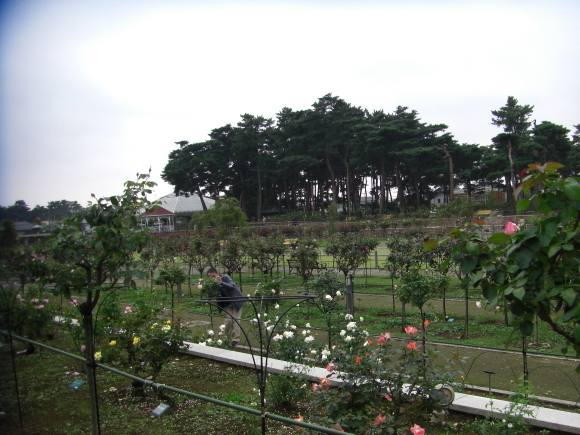 c0074721_15452385.jpg