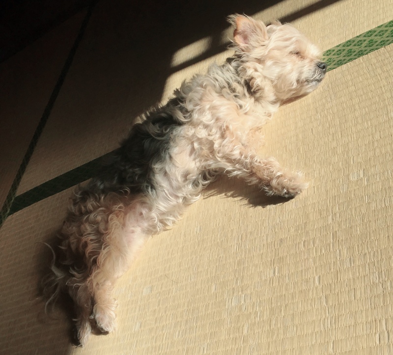 d0359930_23043496.jpeg