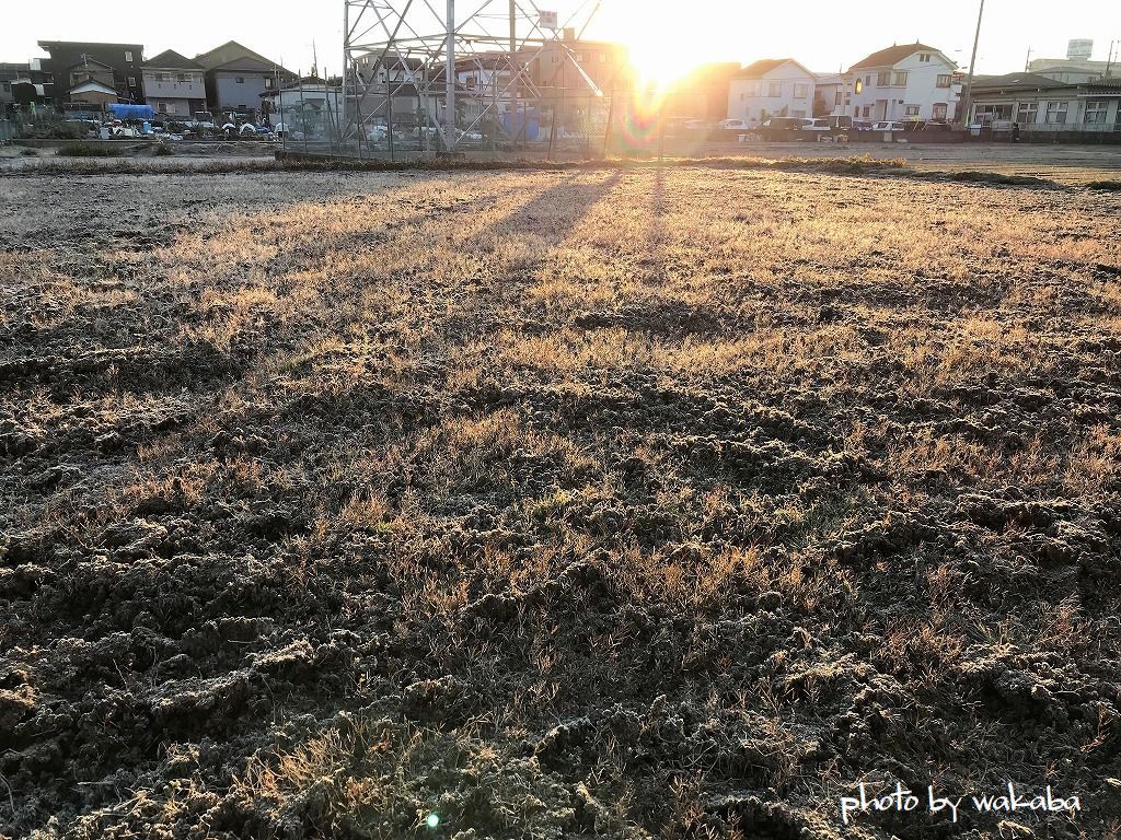 e0052135_20505358.jpg