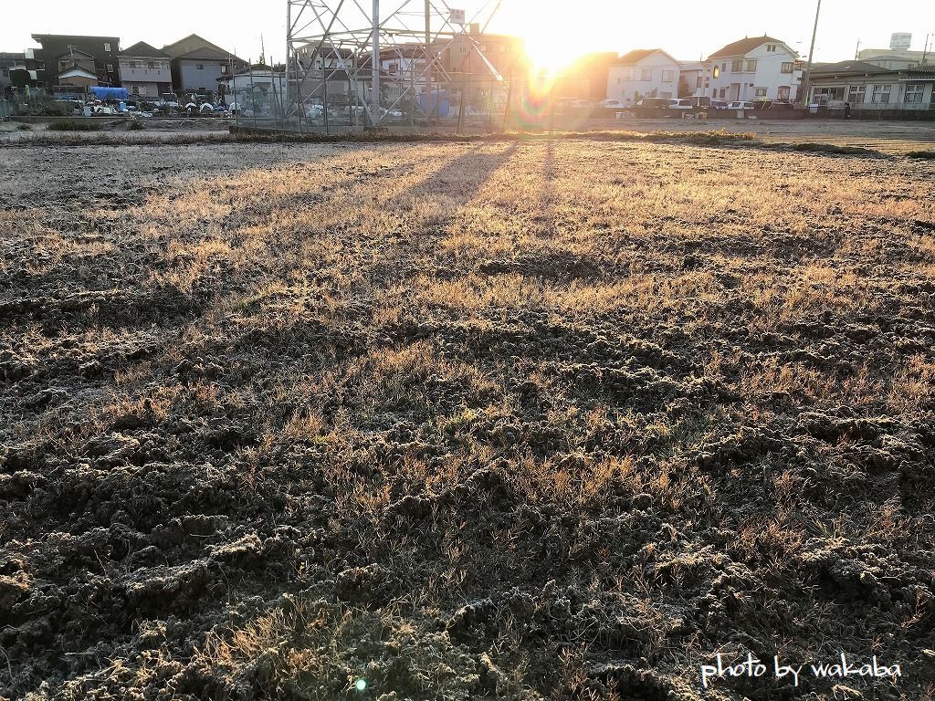 霜が真っ白に下りた散歩道の風景！！！_e0052135_20505358.jpg