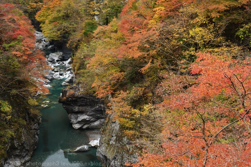 秩父 金蔵落しの渓流 紅葉 Photograph3 秩父 金蔵落しの渓流 紅葉 Photograph3