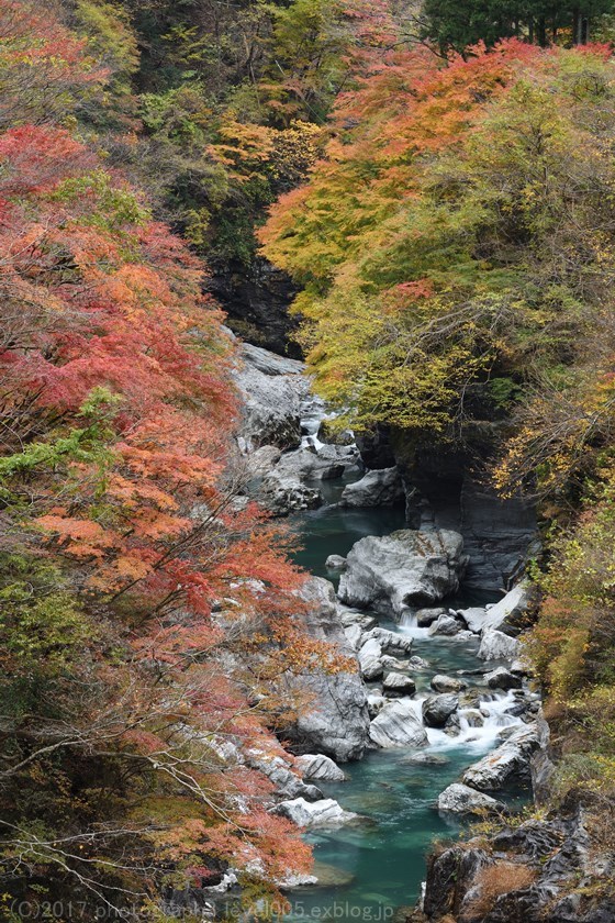 秩父 金蔵落しの渓流 紅葉 Photograph3