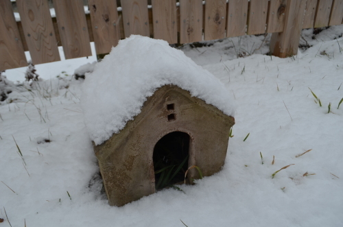 雪のなか、、、。_b0207642_13422732.jpg