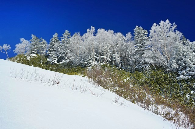 b0122448_20495843.jpg