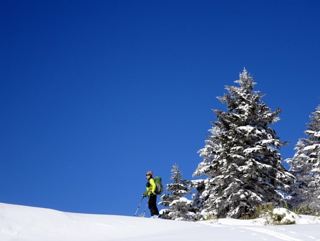 b0122448_21000660.jpg