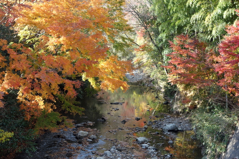 b0325549_23280972.jpg