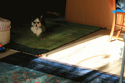 c0145250_09523293.gif