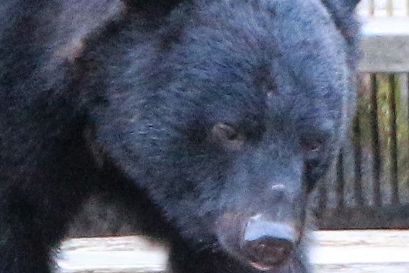 c0294658_20400070.jpg