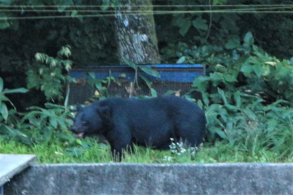 c0294658_22145795.jpg