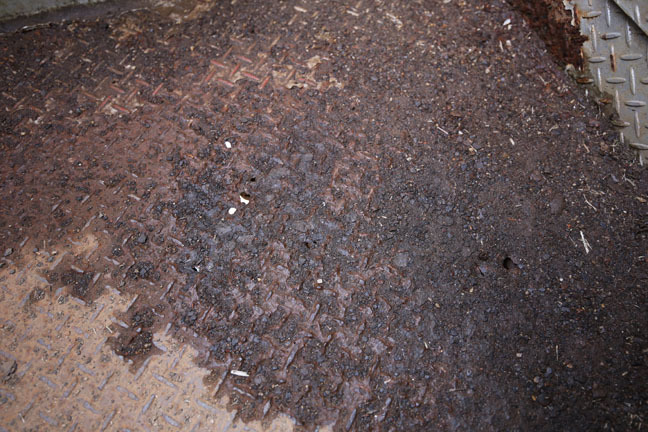 f0395158_22015231.jpg