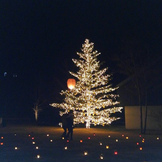 鈴木あろはプレゼンツ☆クリスマス限定☆開運占いイベントのご案内_d0045362_10020135.jpg