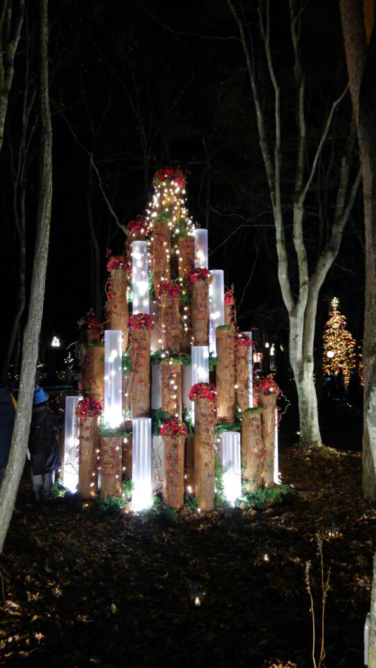 鈴木あろはプレゼンツ☆クリスマス限定☆開運占いイベントのご案内_d0045362_10022319.jpg